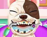 Crazy Animal Dentist