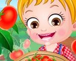 Baby Hazel: Tomato Farming